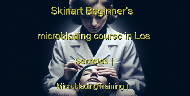 Skinart Beginner's microblading course in Los Secretos | MicrobladingTraining | MicrobladingClasses | SkinartTraining-Mexico